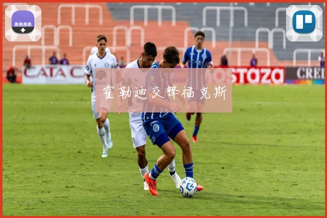 霍勒迪交锋福克斯