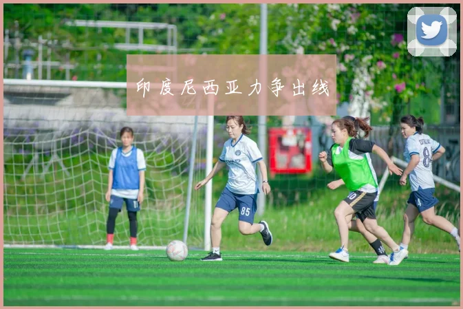 印度尼西亚力争出线