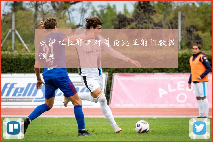 法伊祖拉耶夫对哥伦比亚射门数据预测