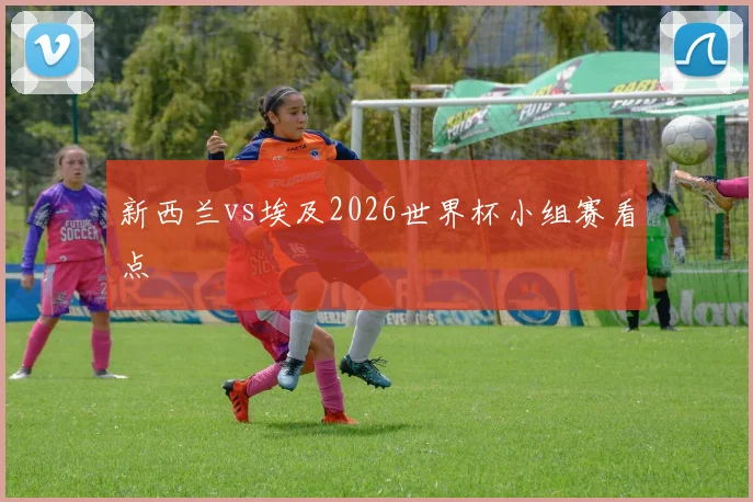 新西兰vs埃及2026世界杯小组赛看点