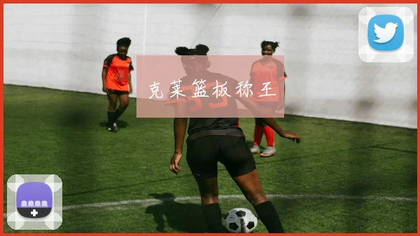 克莱篮板称王