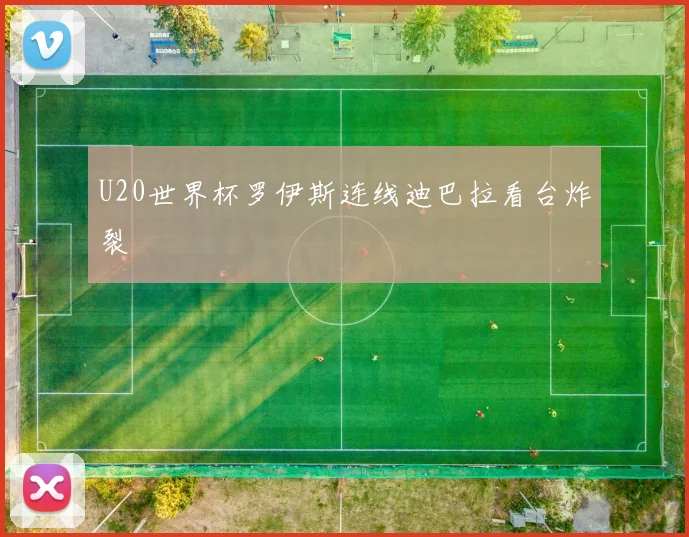 U20世界杯罗伊斯连线迪巴拉看台炸裂