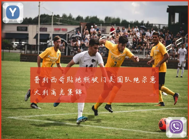 普利西奇贴地斩破门美国队绝杀意大利高光集锦